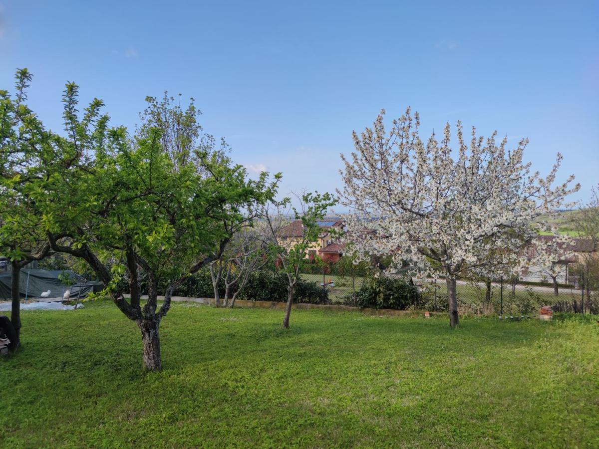 Relax In Collina A Due Passi Dal Mare Torriana Exterior foto
